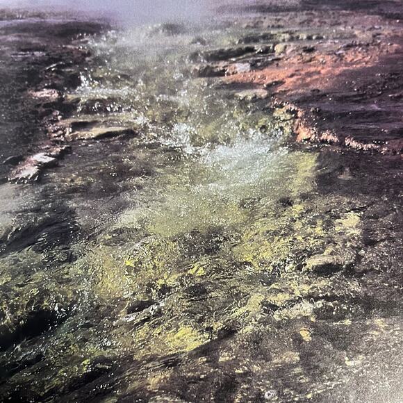 Life on Earth: A Natural History - Book by David Attenborough - Picture 6 of 8